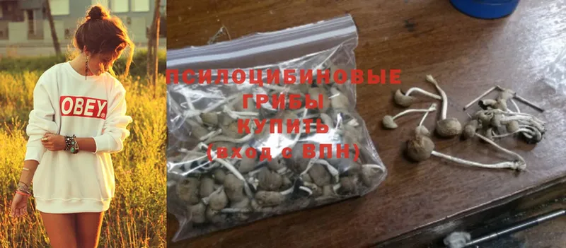 MEGA ССЫЛКА  купить закладку  Анапа  Галлюциногенные грибы MAGIC MUSHROOMS 